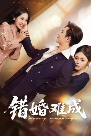《错婚难成》（45集）短剧精彩不容错过全集