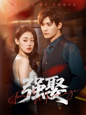 强娶(80集) 强娶(80集)高分佳作免费看