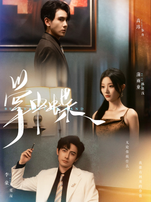 《掌中蝶》（84集）在线免费看短剧全集