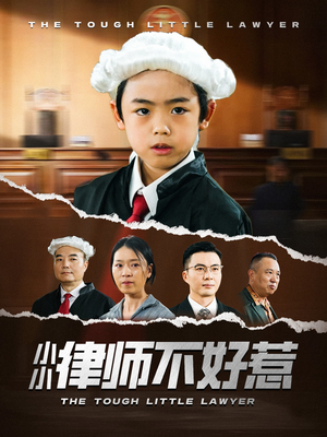 《小小律师不好惹》（82集）短剧精彩内容抢先看