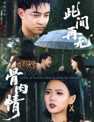 《此间再无骨肉情》（60集）在线看短剧全集不卡顿