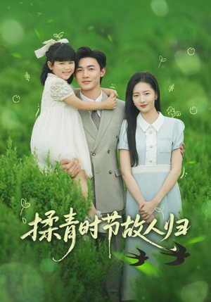 《揉青时节故人归》（60集）畅享短剧全集观看