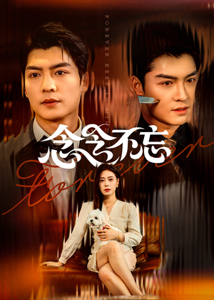 《念念不忘》（73集）免费在线看短剧全集