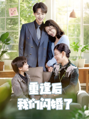 《重逢后我们闪婚了》（35集）免费短剧在线追全集