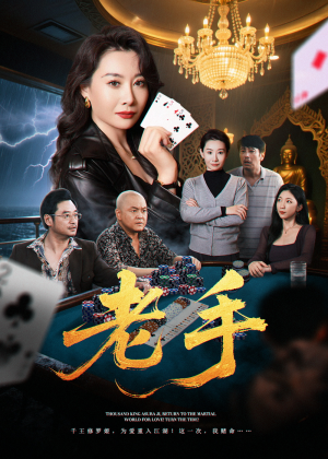 《老手》（36集）完整短剧免费在线赏