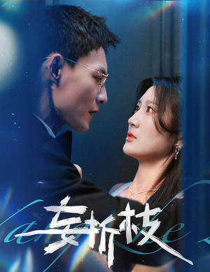 《妄折枝》（53集）短剧精彩一网打尽观看