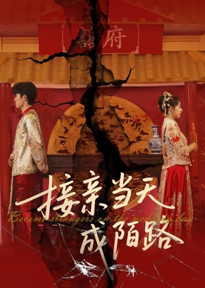 《接亲当天成陌路》（50集）免费看短剧全集不停歇