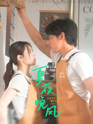 《夏夜晚风》（12集）免费短剧在线畅享完整版