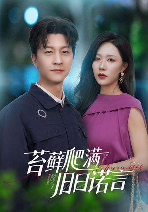 《苔藓爬满旧日诺言》（83集）短剧在线看全集不卡