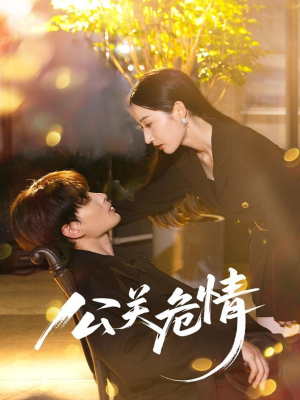 《公关危情》（60集）短剧免费全集在线嗨看