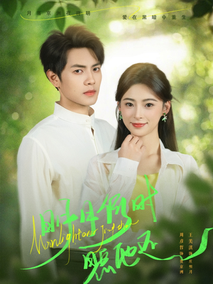 《明月何时照他还》（73集）追短剧全集一看到底