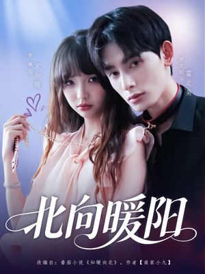 《北向暖阳》（80集）短剧完整版免费追看