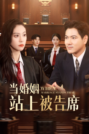 《当婚姻站上被告席》（30集）看短剧畅享精彩全集