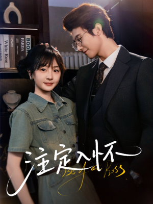 《注定入怀》（70集）免费看短剧全集超带感
