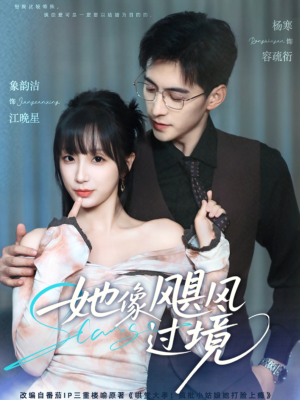 《她像飓风过境》（81集）短剧精彩一集不落看