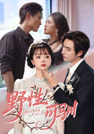 《野性可驯》（63集）短剧全集免费在线畅享