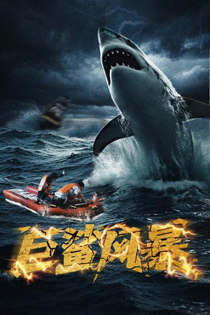 《巨鲨风暴》（59集）免费短剧在线畅快追剧