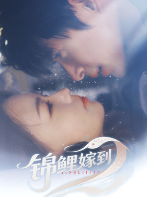 《锦鲤嫁到》（67集）看短剧领略别样浪漫