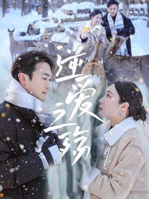 《逆爱之殇》（60集）短剧全集免费在线追