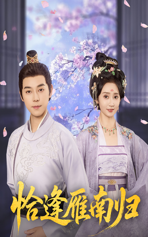 《恰逢雁南归》（51集）精彩短剧免费全集连看