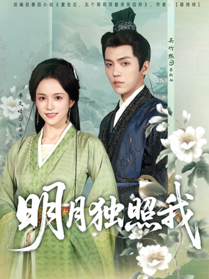 明月独照我(80集) 明月独照我(80集)经典老剧免费看