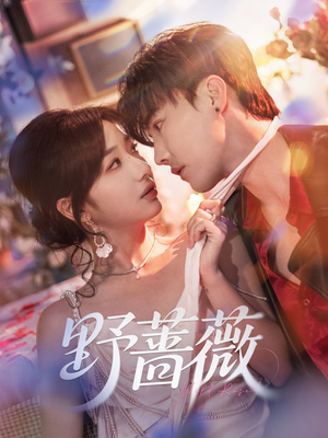 《野蔷薇》（60集）免费短剧在线畅快追