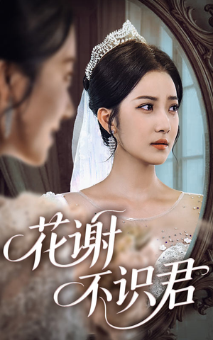 《花谢不识君》（40集）短剧免费畅享全集追