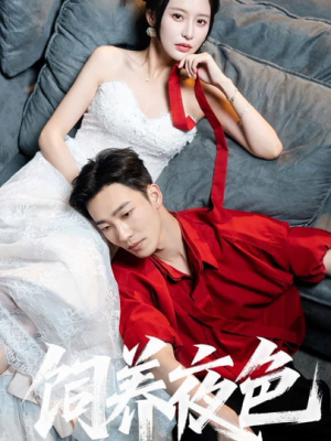 《饲养夜色》（86集）热门短剧在线抢先看