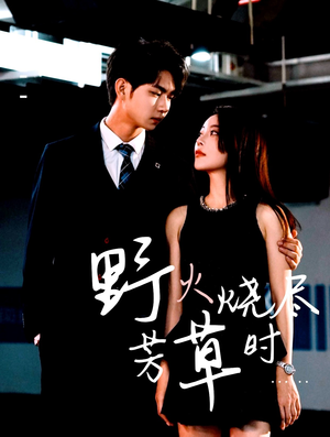《野火烧尽芳草时》（65集）短剧免费看一看到底