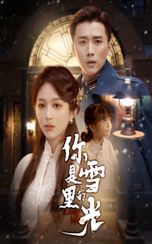 你是雪里的光（64集）推荐好短剧