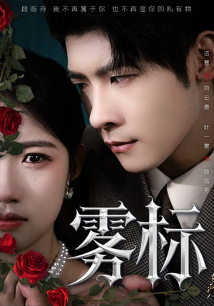 《雾标》（70集）热门短剧免费畅看全集