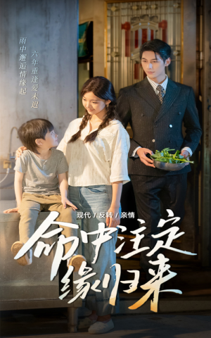 《命中注定缘归来》（63集）看短剧全集免费超爽快