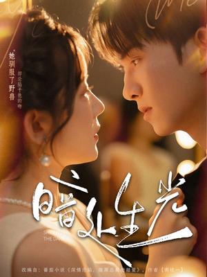 《暗处生光》（82集）在线看短剧精彩不停