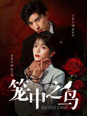 《笼中之鸟》（70集）一口气追完短剧超满足