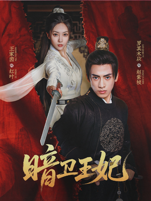 暗卫王妃（60集）好看的短剧电影