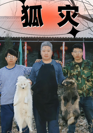 《狐灾》（25集）短剧免费看完整部剧情