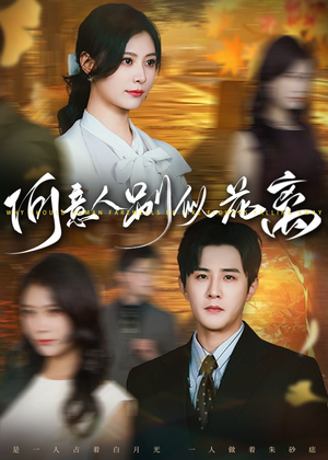 《何意人别似花离》（61集）短剧免费全集在线嗨看