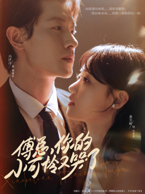 《傅总你的小可怜又哭了》（80集）精彩短剧一集不落看