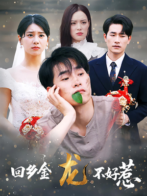 《回乡金龙不好惹》（74集）看短剧全程高能无尿点