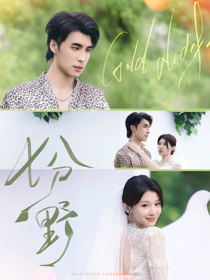 七分野(78集) 七分野(78集)让你一口气看完