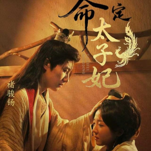 《命定太子妃》（63集）短剧精彩剧情一追即享