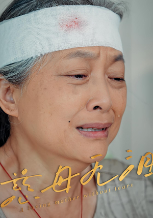 《慈母无泪》（30集）看短剧全集畅享不停