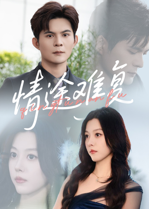 《情途难复》（50集）短剧热播精彩全段在线看