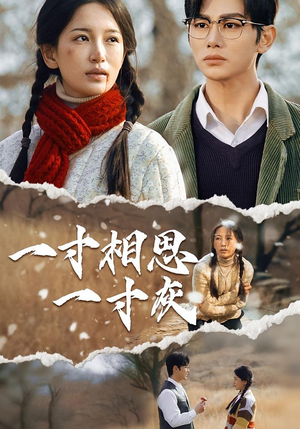 《一寸相思一寸灰》（43集）免费短剧全集尽情追看