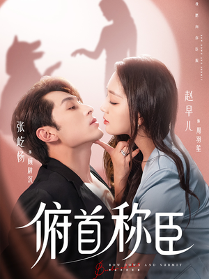 《俯首称臣》（72集）一口气追完热门短剧