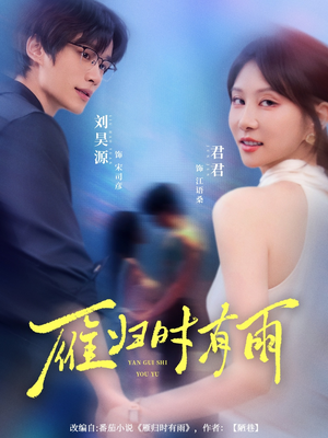 《雁归时有雨》（84集）看短剧全集在线不卡顿