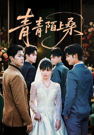 《青青陌上桑》（70集）畅享短剧全集免费观看