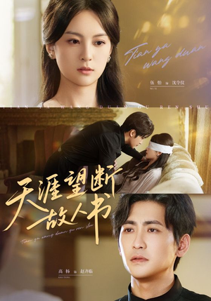 《天涯望断故人书》（60集）精彩短剧在线追不停