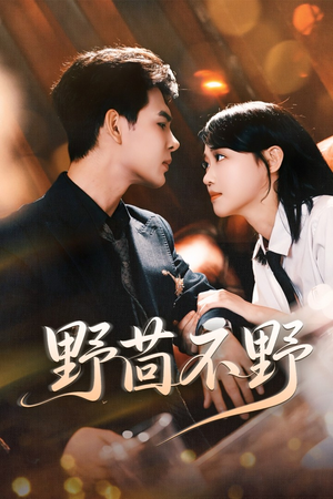 野茴不野(67集) 野茴不野(67集)原创精彩短剧