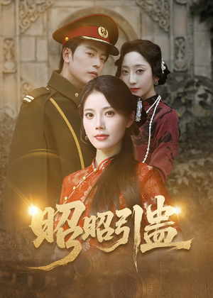 《昭昭引蛊》（42集）热门短剧在线抢先看